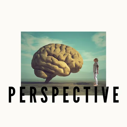 Perspective