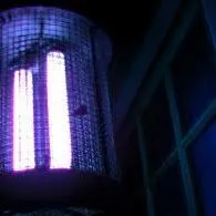 Bug Zapper Radio
