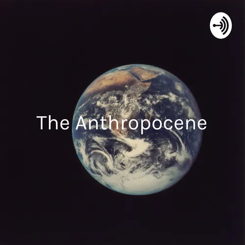 The Anthropocene: How Plastics Are Polluting Our Earth