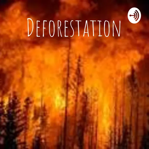 Deforestation