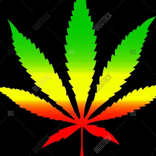The Weed Academy