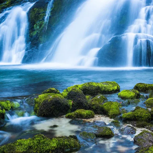 Beauty of Nature