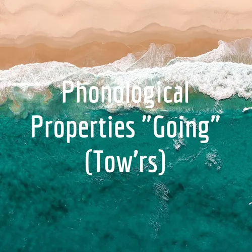 Phonological Properties 