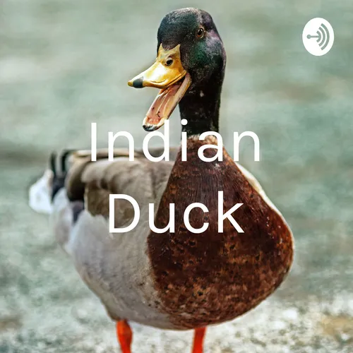 Indian Duck
