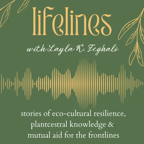 Lifelines
