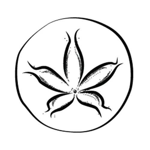 Cultivating Capacity