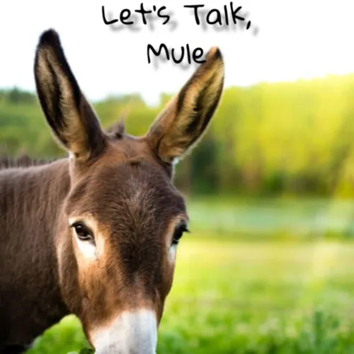 Let’s Talk, Mule