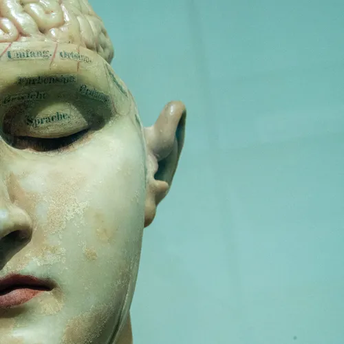 No Brain Central