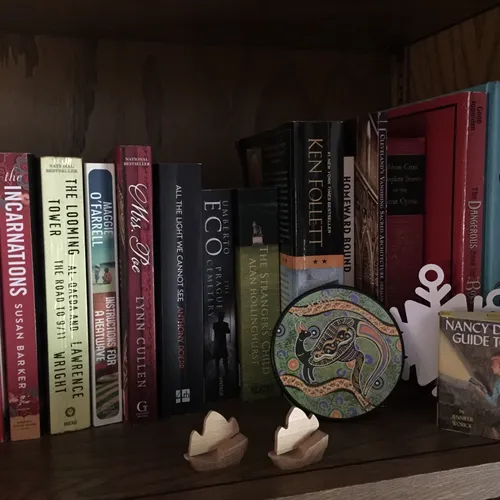 Bookshelfshelfies