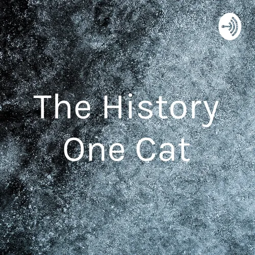 The History One Cat