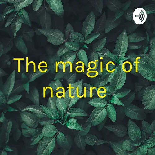 The magic of nature