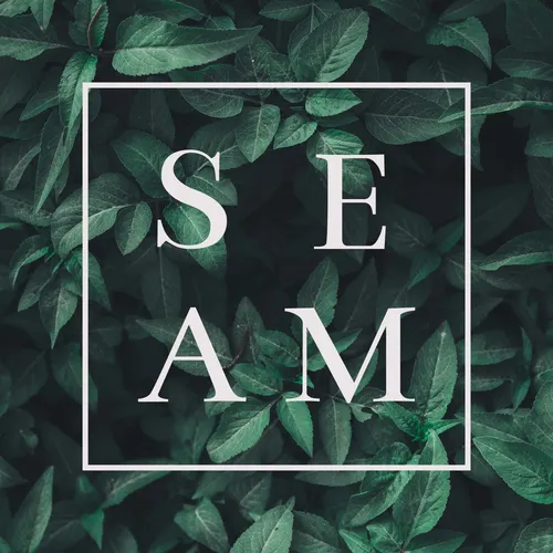 The Seam Podcast