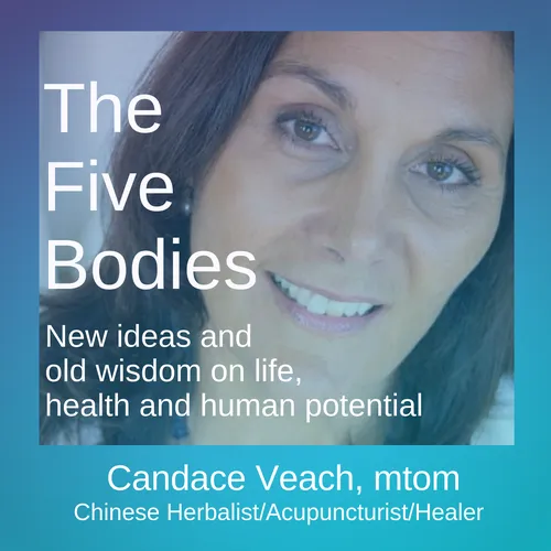 The Five Bodies