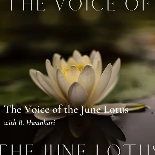The Voice of The June Lotus
