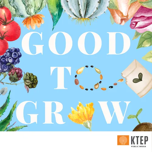 Good To Grow Podcast