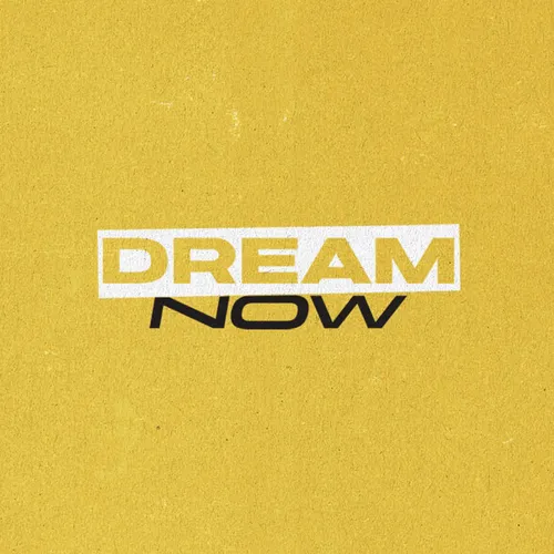 Helps For HOSTs: Saddleback Small Groups Dream Now Series