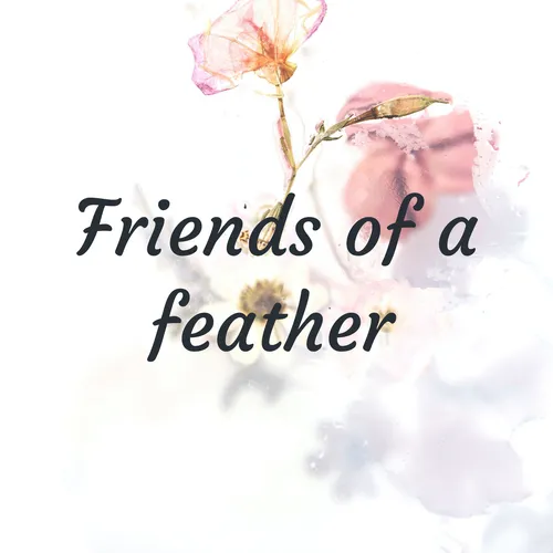 Friends of a feather
