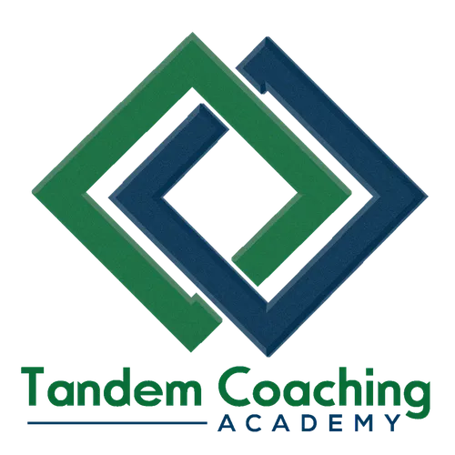 Introduction To Systems Coaching