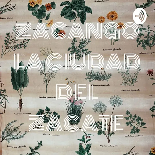 ZACANGO LA CIUDAD DEL ZACATE