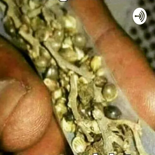 DANK N DRY