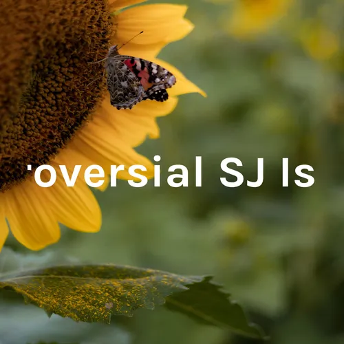Controversial SJ Issues