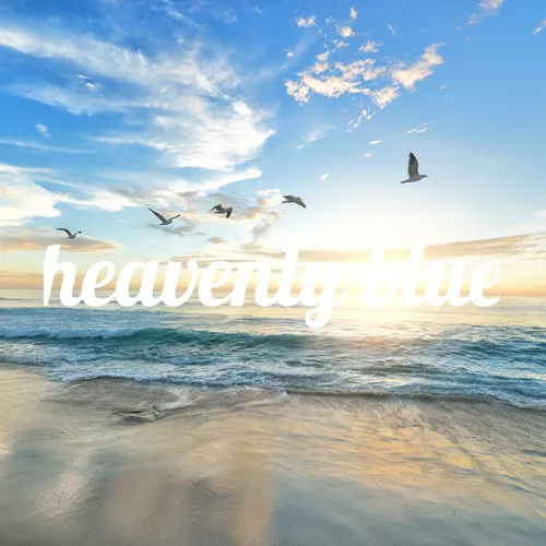heavenly blue