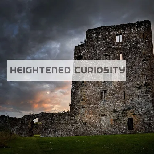 Heightened Curiosity