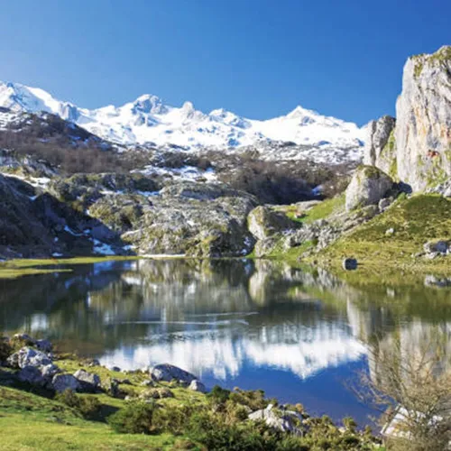 Procesos naturales y biodiversidad