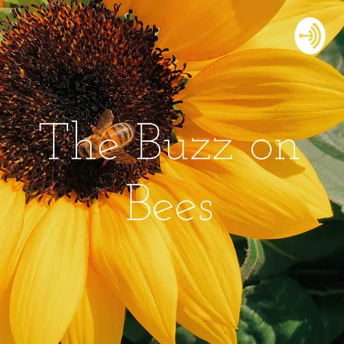 The Buzz on Bees