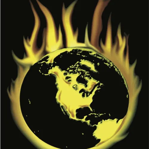 F.O.O.L.S. International