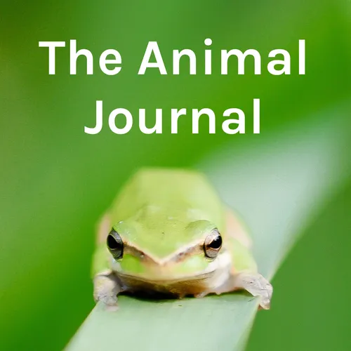 The Animal Journal