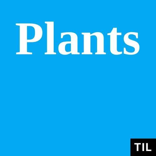 TIL: Plants