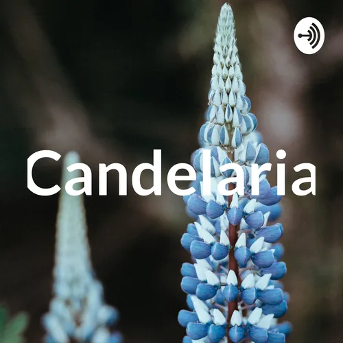 Candelaria