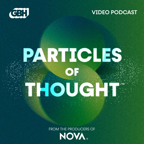 Particles of Thought