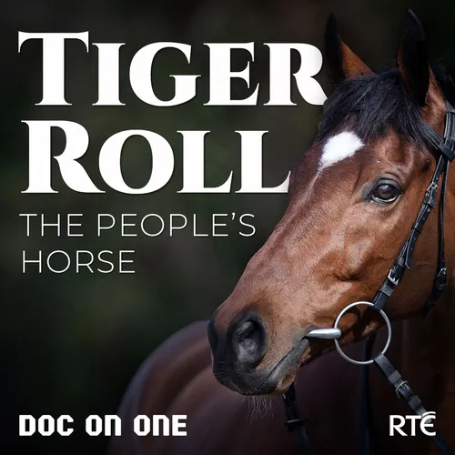Tiger Roll: The People's Horse