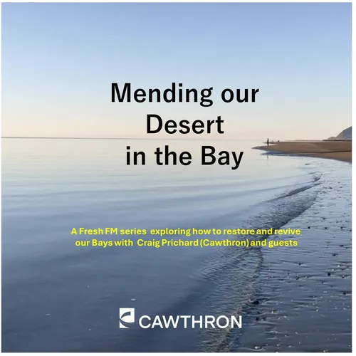 Mending Our Desert in the Bay