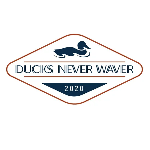 Ducks Never Waver Lunch Break