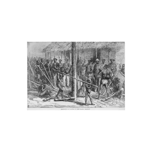 The Slave Bible: The Psychology of Slave Religion