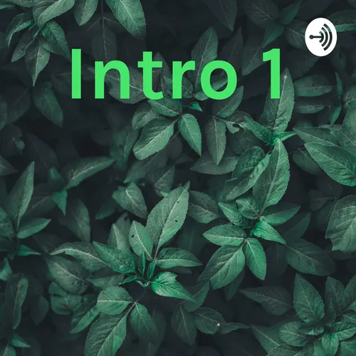 Intro 1