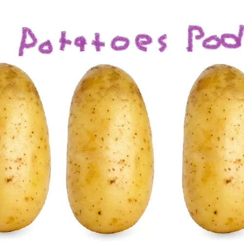 The Lazy Potatoes Podcast