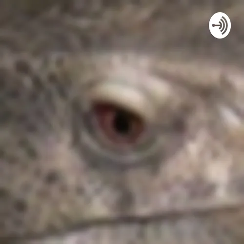 GavinsRagingReptiles