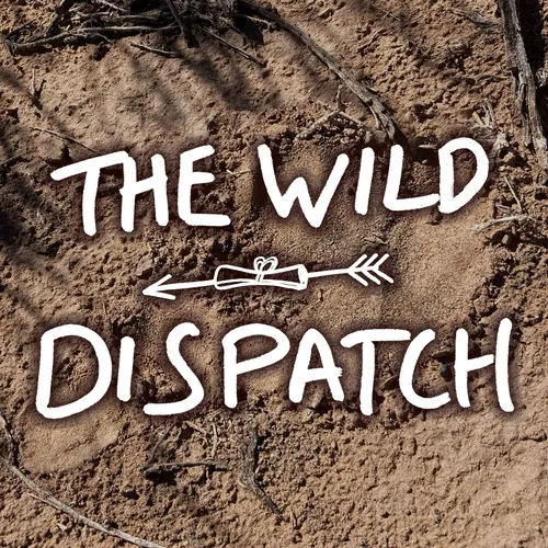 The Wild Dispatch