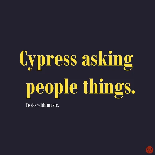 Cypress asking people things.
