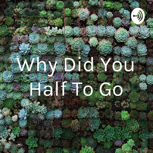 Why Did You Half To Go