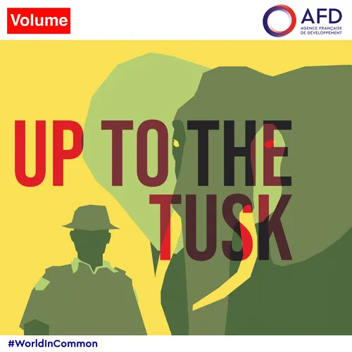 Up To The Tusk