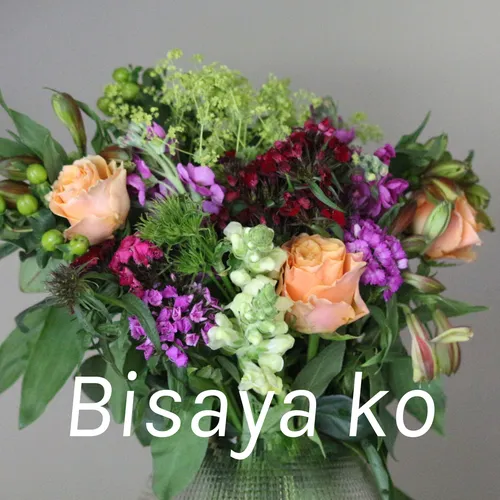 Bisaya ko