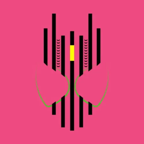 Luminous Raiser