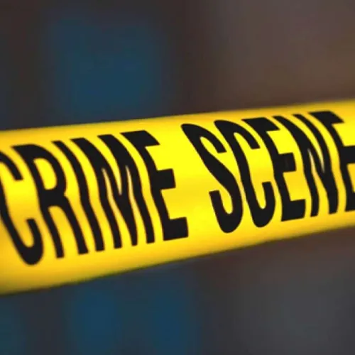 City Crime Comedy