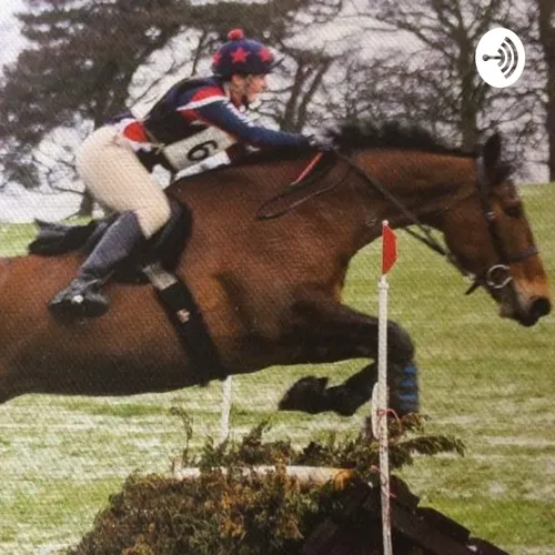 Wolds Equine Rehabilitation And Training Hello