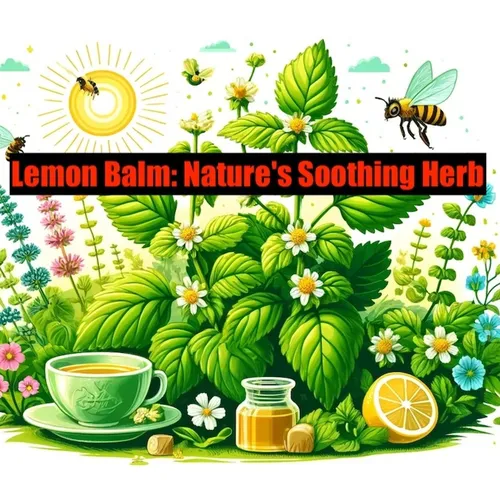 Lemon Balm: Nature's Soothing Herb